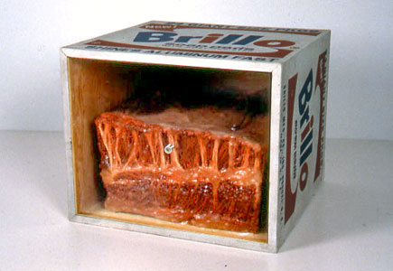 Meat artwork at the Whitney Museum in NYC inside a brillo box