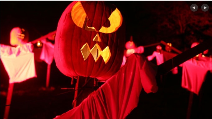 Image of a field of halloween scarecrows, with pumpkins carved with scary faces as the head.