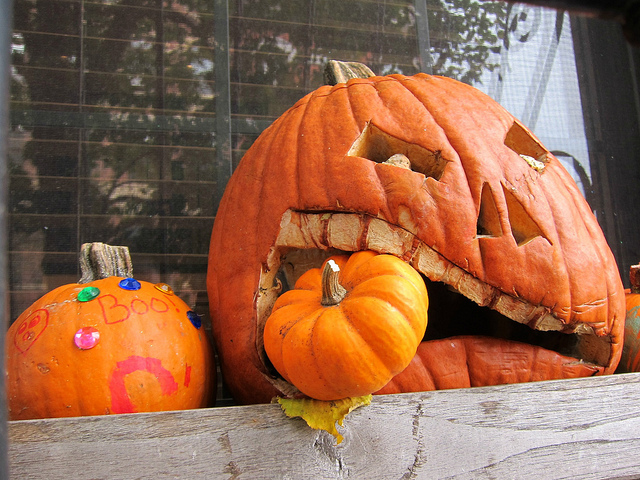 One large carved Halloween pumpkin fixed up to look like it is chewing a smaller pumpkin