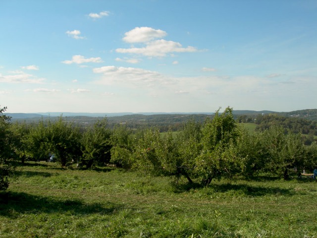 Large view of Hudson Valley apple picking farms