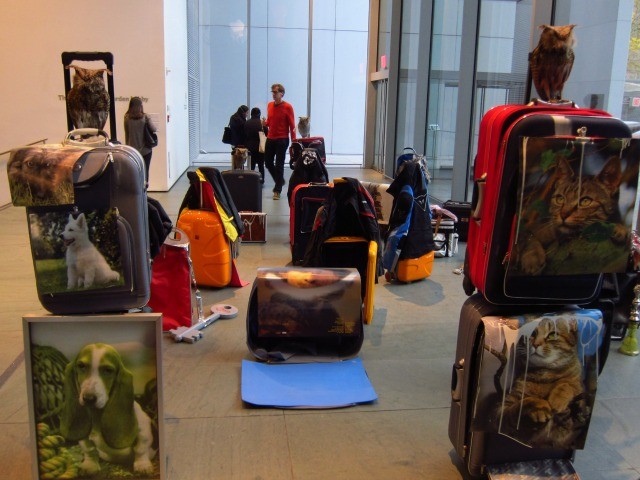 In the lobby of the MoMA, Isa Genzen set up a luggage lobby with several colorful pieces of luggage