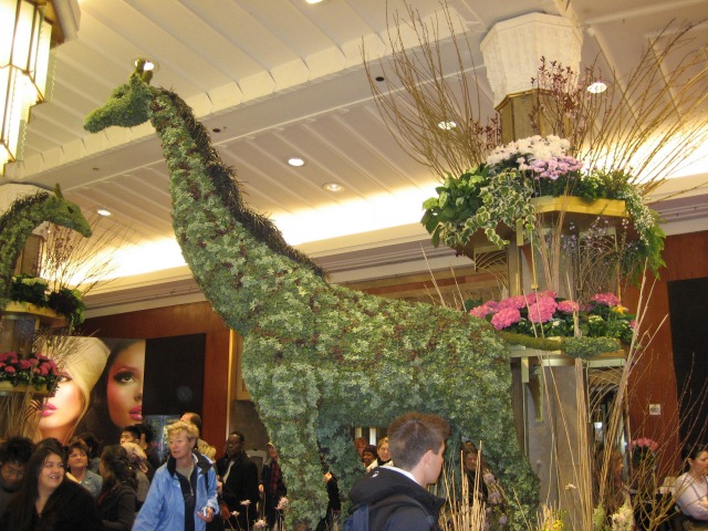 A giraffe made of green and white flowers inside Macy's Flower Show in New York City