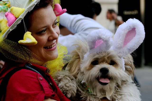 An image of a girl and her dog dressed up with bunny ears and other Easter themed wear for the NYC Easter Parade