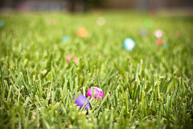 Image of colorful easter eggs hiding in the grass in Central Park for a NYC Easter Egg Hunt
