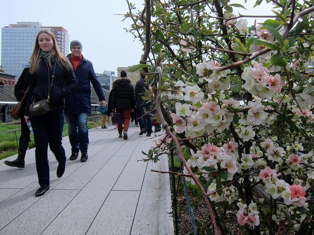 New York residents walk the High Line as flowers bloom along the walking path in NYC