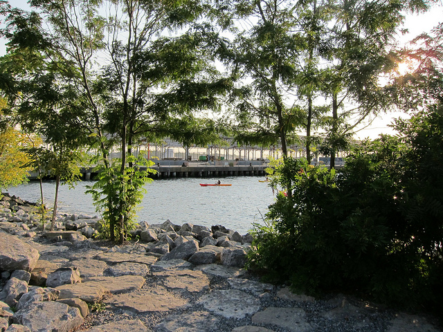 Kayaker on a lake in Brooklyn park