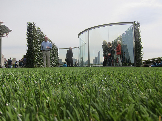 Image of Dan Graham's roof garden now set up at the Met