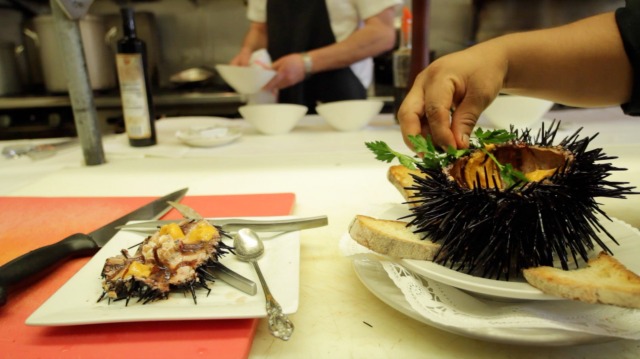 A chef prepares a desert made from sea urchins. Two versions of the desert are plated in a kitchen