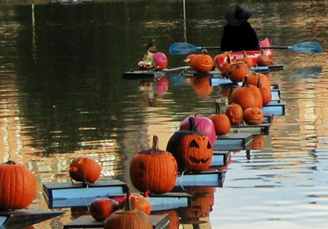 Photo of carved pumpkins at the Central Park Pumpkin Flotilla
