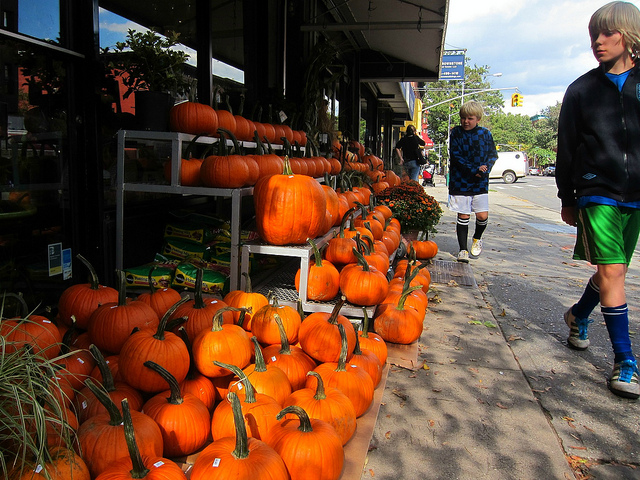 Pumpkins outside of a market line the streets of New York City