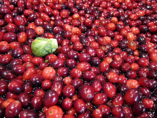 A view of cranberries to be prepared into cranberry sauce for Thanksgiving