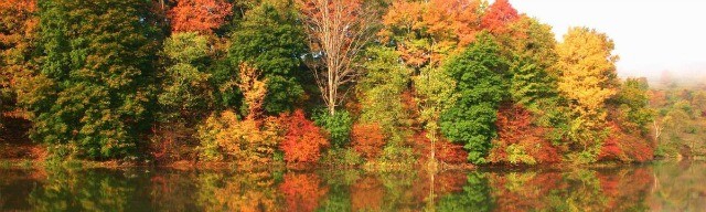 Beautiful colors of red, green and yellow on the changing leaves in Upstate New York