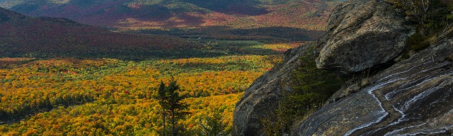 A view of the changing leaves from a vista in New Paltz, NY