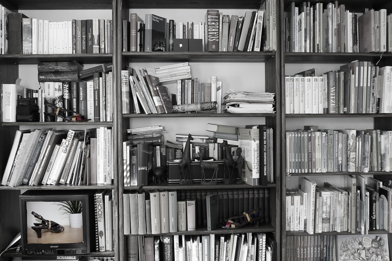 Large, black-and-white, wooden bookcase with a TV in the bottom corner and small figurines in the middle.