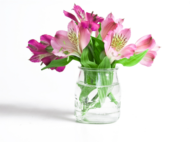 flowers in a glass of water