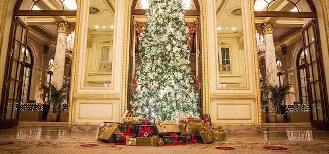 An interior view of The Plaza Hotel's elegant Christmas tree with wrapped presents placed under it.