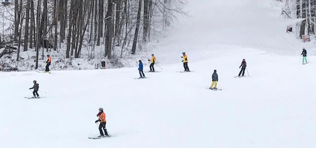 A group of skiers ski down a snow covered mountain surrounded by trees during the day.