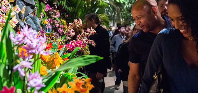 A couple admires brightly colored fresh flowers and green leaves at the New York Botanical Garden's Orchid Show in New York City.