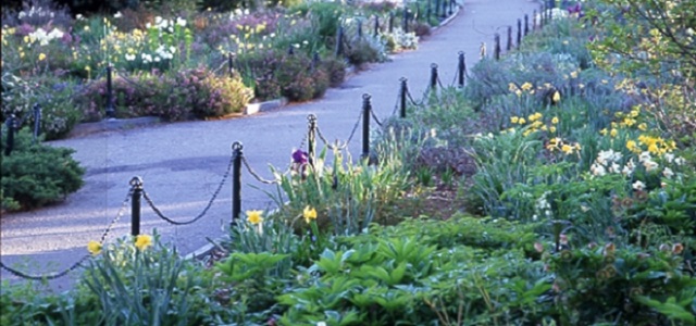 A blooming outdoor garden at Greenbelt Nature Center Trail in New York in the spring.