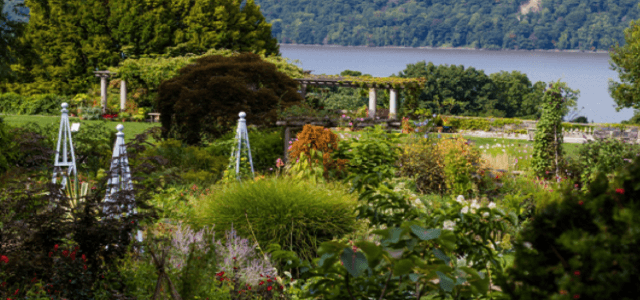 A view of Riverdale and the Hudson River with green plants and trees.