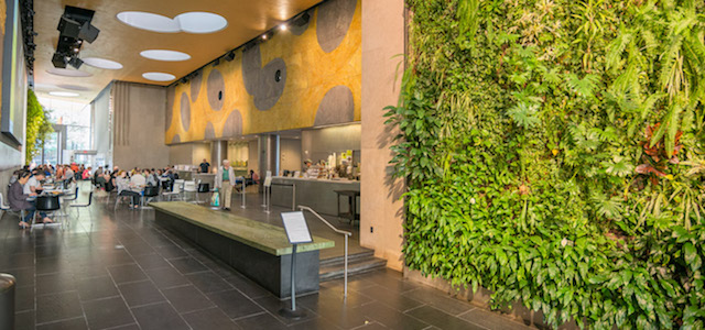 The inside of David Rubenstein Atrium at Lincoln Center eating area with a wall of live greenery.