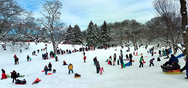 Families and children sledding on a park hill in NYC.