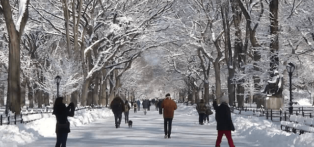 Central park covered in a fresh blanket of snow and people walking down a covered roadway.