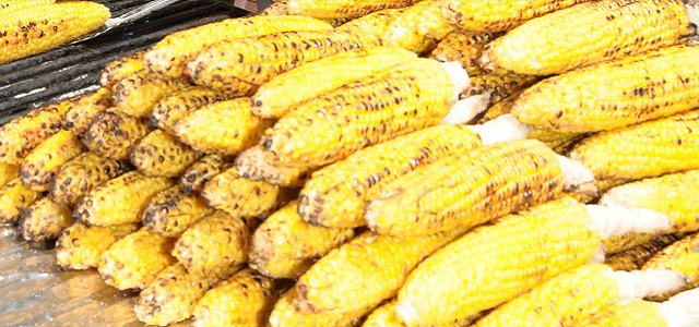 Freshly grilled corn at a food festival in NYC.