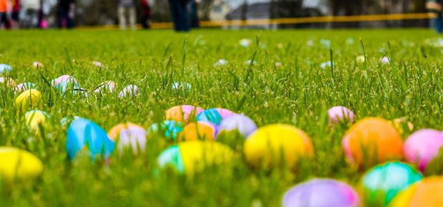 An Easter egg hunt with brightly colored eggs in a park.