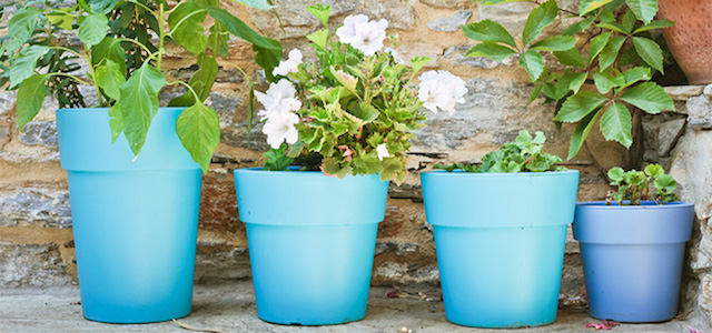 Four blue flower pots on a concrete slab outdoors.