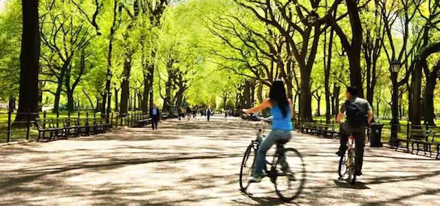 A man and woman riding bikes in Central Park in NYC.