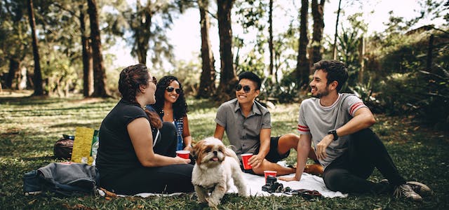 group enjoying picnic park