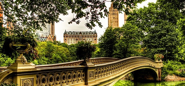 bridge with green grass and buildings in nyc