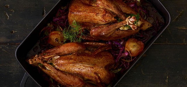 roasted turkey with herbs