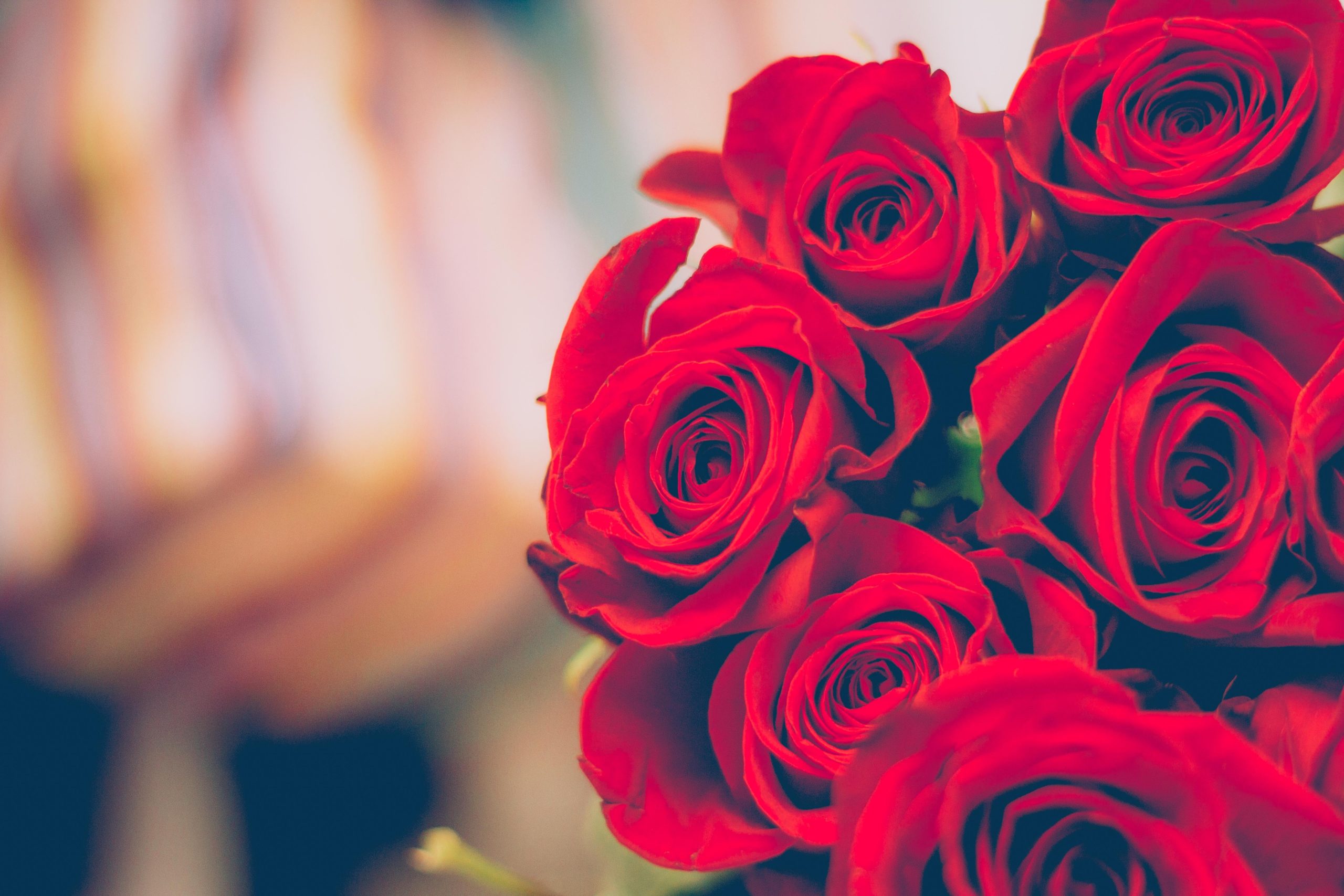 Red roses in a bushel