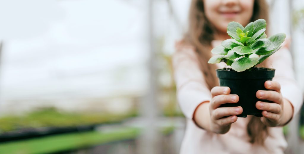 child giving flowers, child flower
