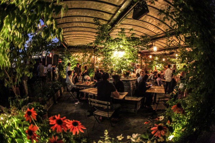 A rooftop bar decorated with mystical greenery and flowers