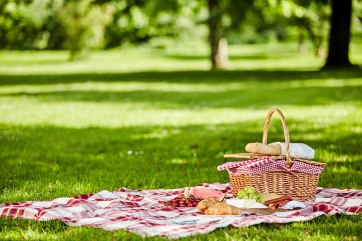 Picnic basket and blanket resting on grass with food 