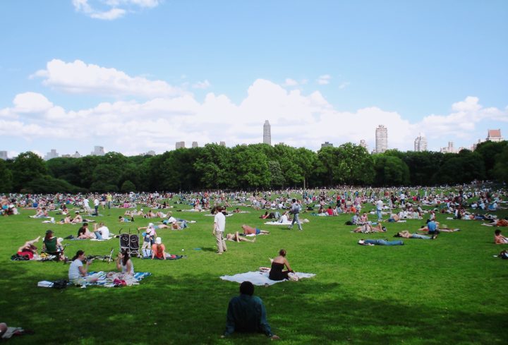 Central Park lawn with people picnicking, playing, and tanning