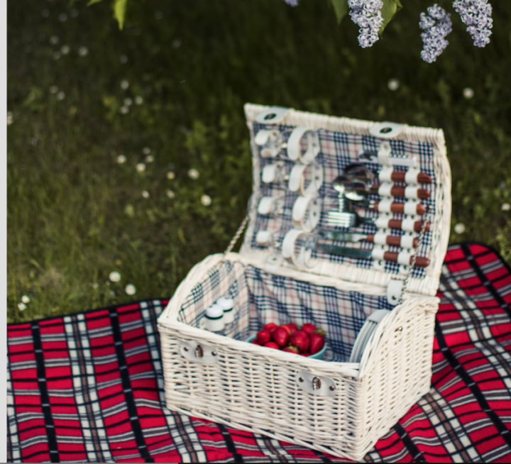 Picnic box on top of a picnic red plaid blanket in grass