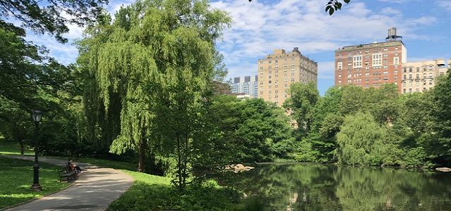 A pond and walkway in Central Park during the day.