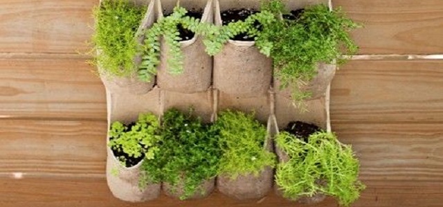 A set of fresh herbs and plants in a burlap hanging garden.