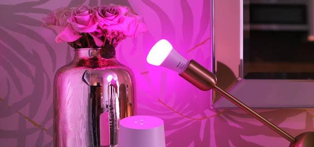 A bright pink indoor light set for mood lighting.