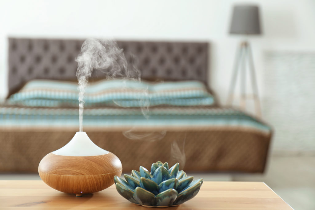 A diffuser and succulent plant in a bedroom
