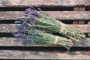 A bushel of dried lavender