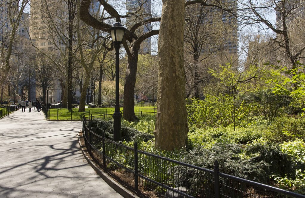 A path in NYC's Central Park
