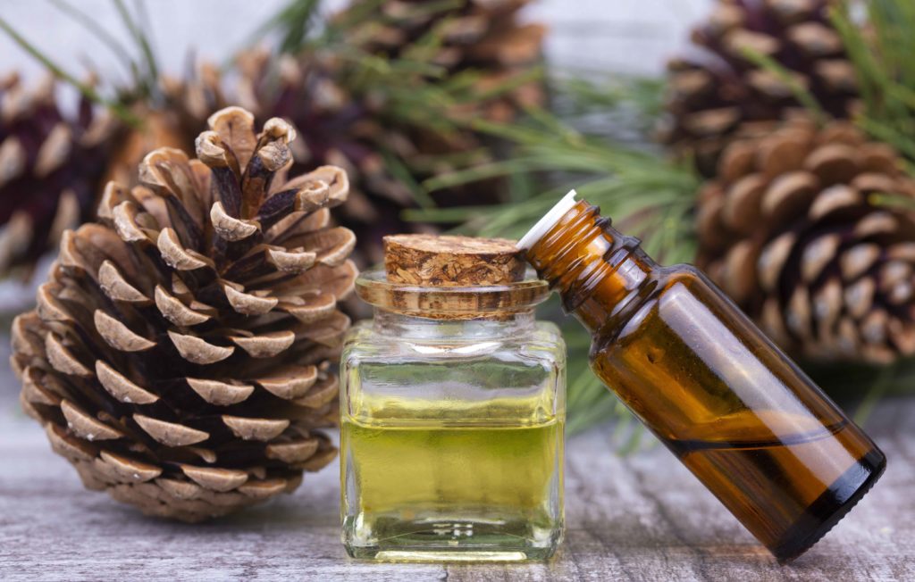 essential oil of pine and pine cones on a table with pine cones and pine needles