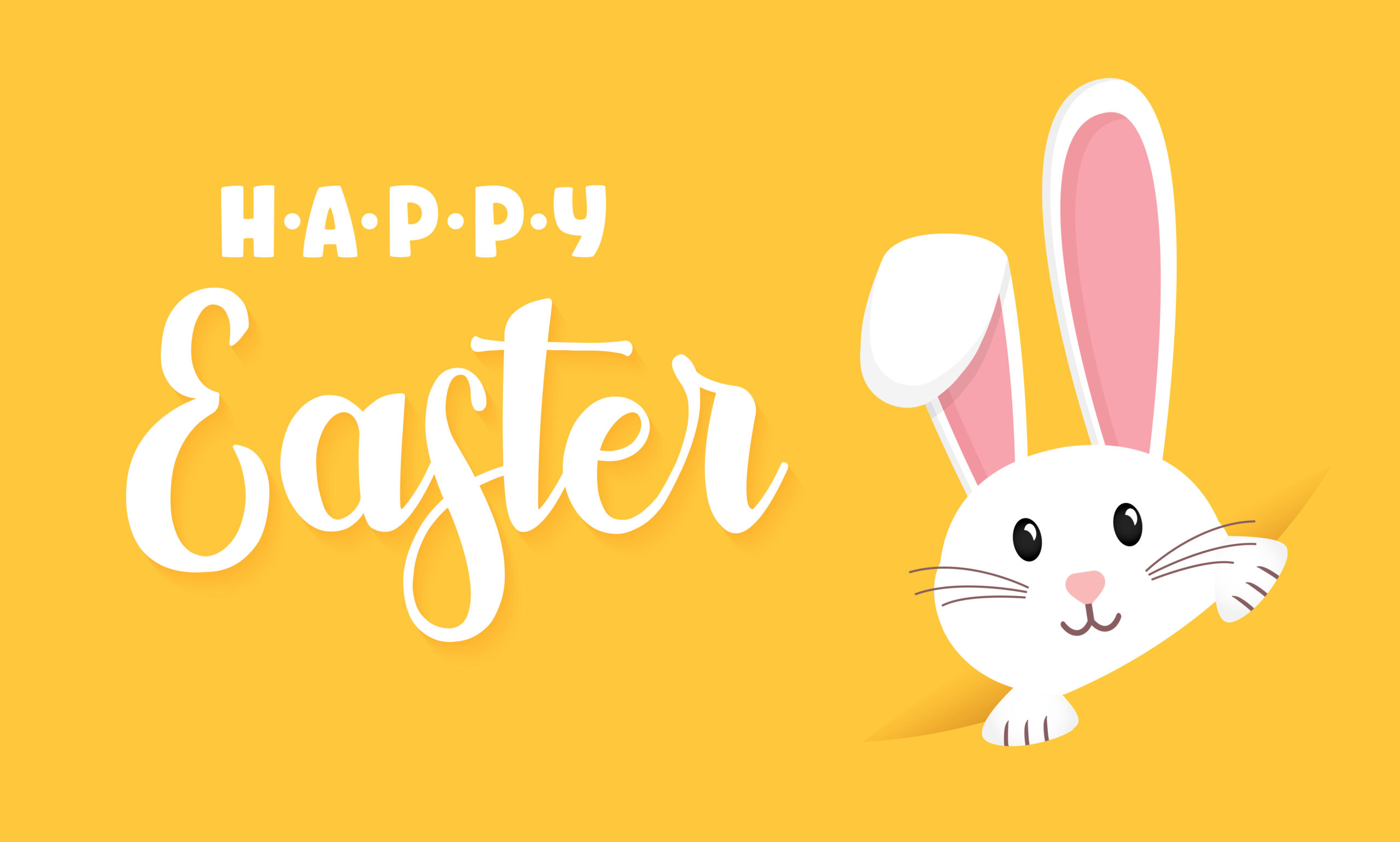 Happy easter with yellow background and a white bunny