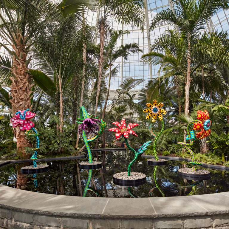 Playful kusama flower sculptures in a pond at the New York Botanical Garden