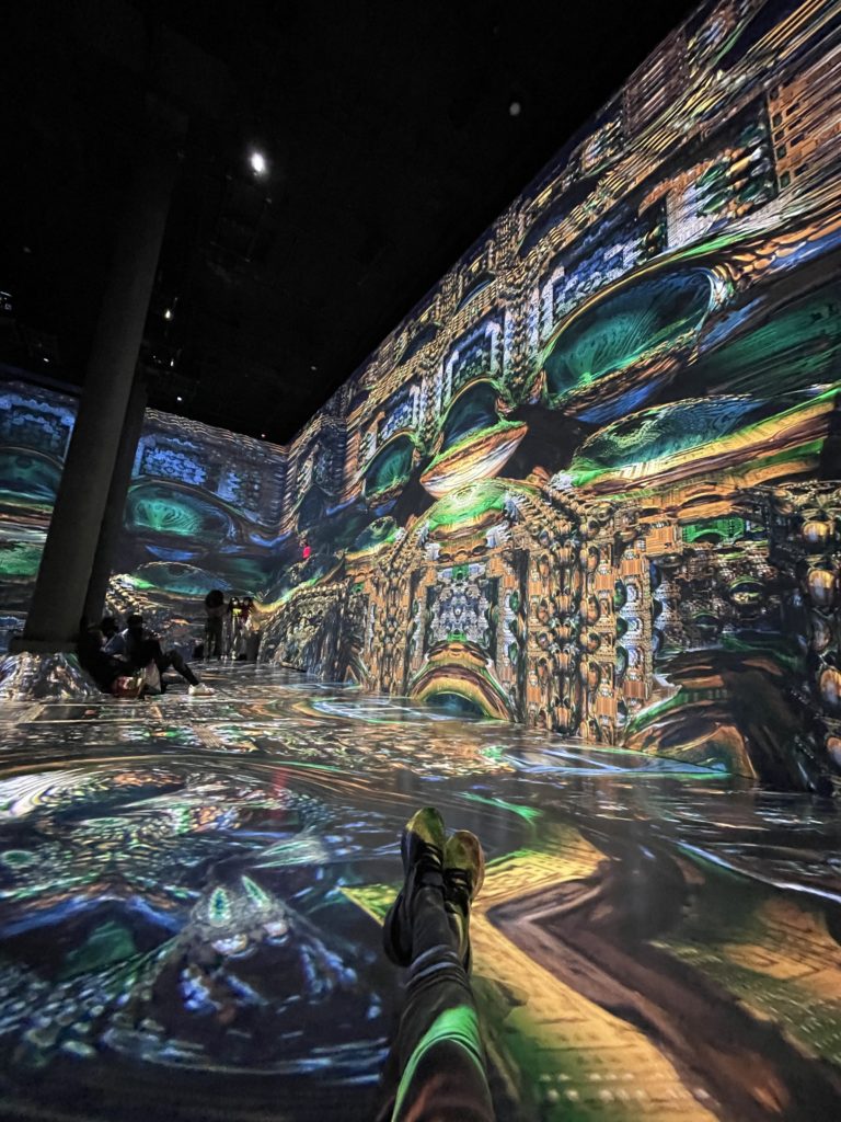 360 degree view of Van Gogh immersive exhibit